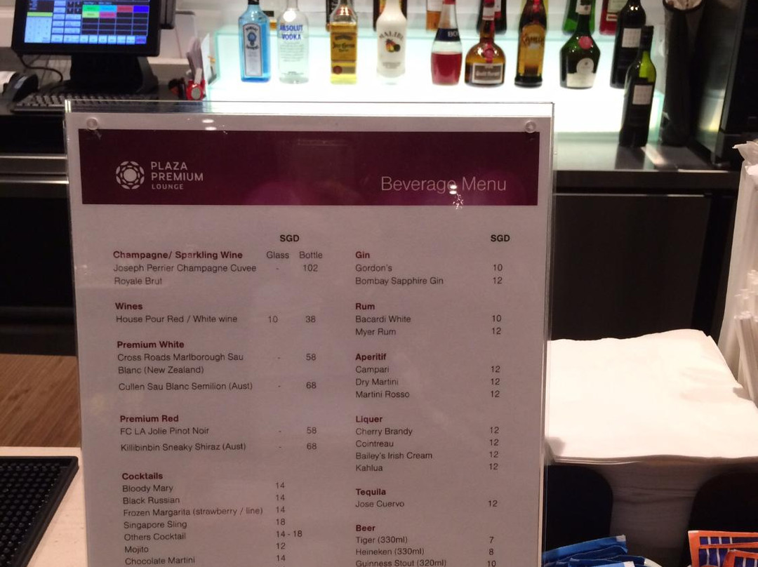 Plaza Premium Lounge (International Departures, Terminal 1)-新加坡必去景点