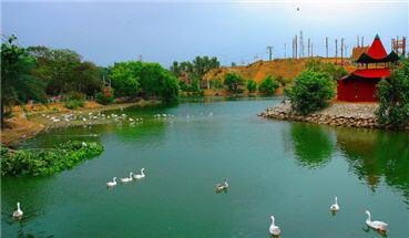 Safari Park-卡拉奇必去景点