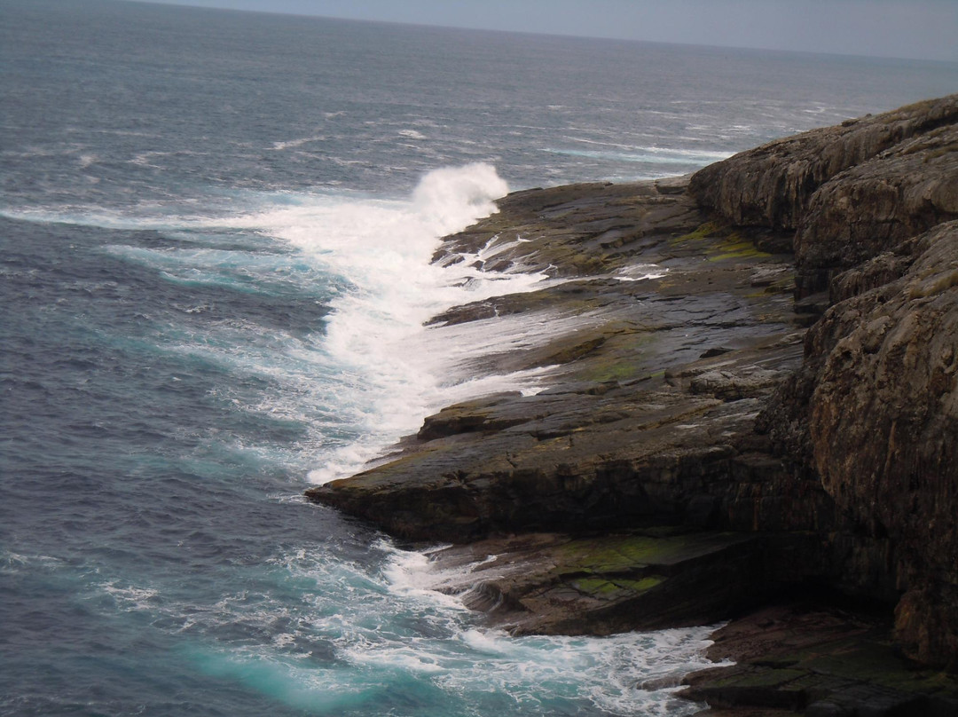 Kangaroo Island Transfers景点图片
