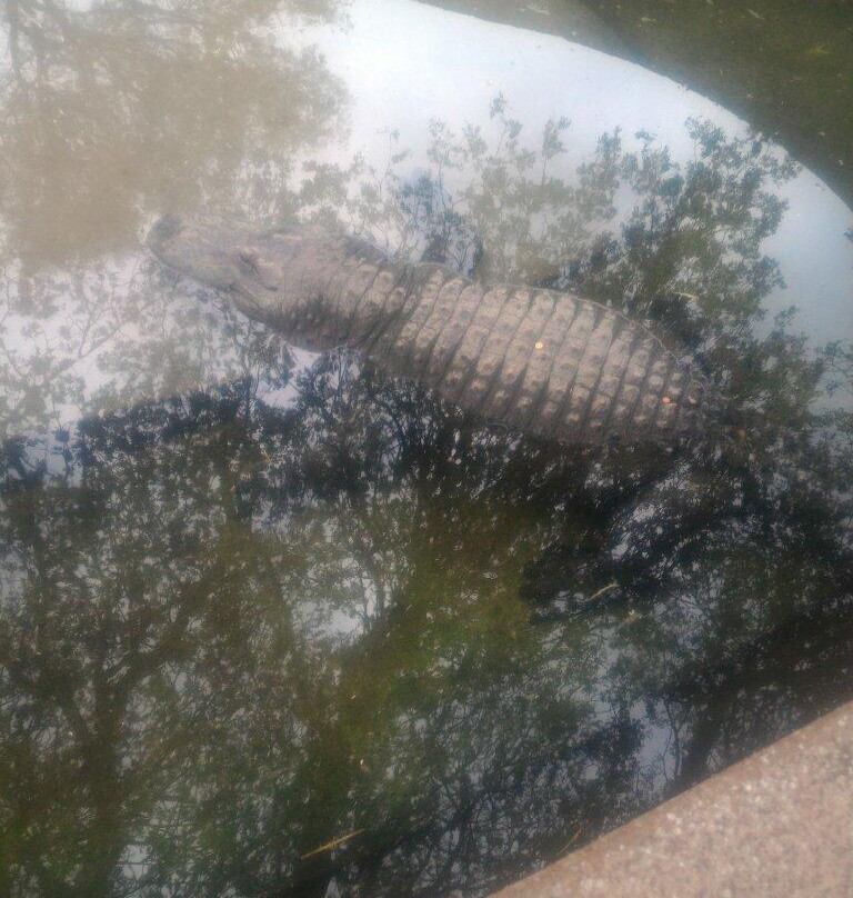 Bester Birds & Animals Zoo Park-比勒陀利亚必去景点