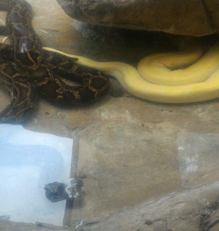 Bester Birds & Animals Zoo Park-比勒陀利亚必去景点