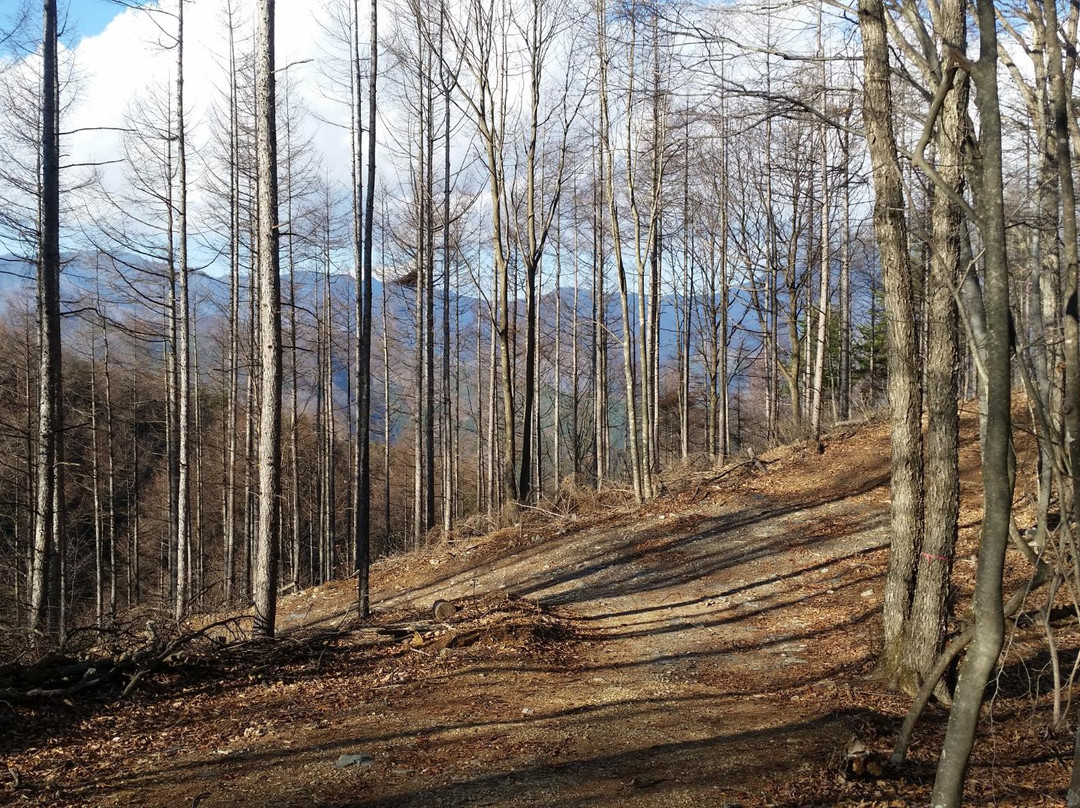 Mount Shishikura景点图片
