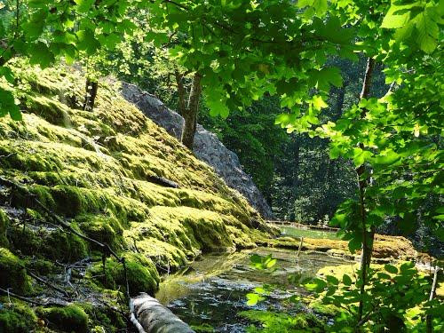 La Tuffière Source Pétrifiante