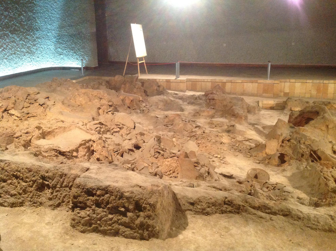 Neolithic Dwellings Museum景点图片