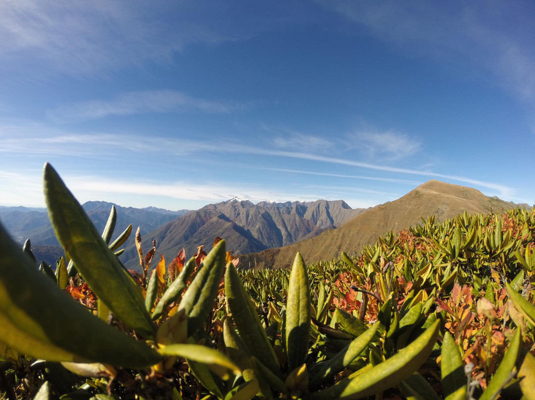 BAZA 560-索契必去景点