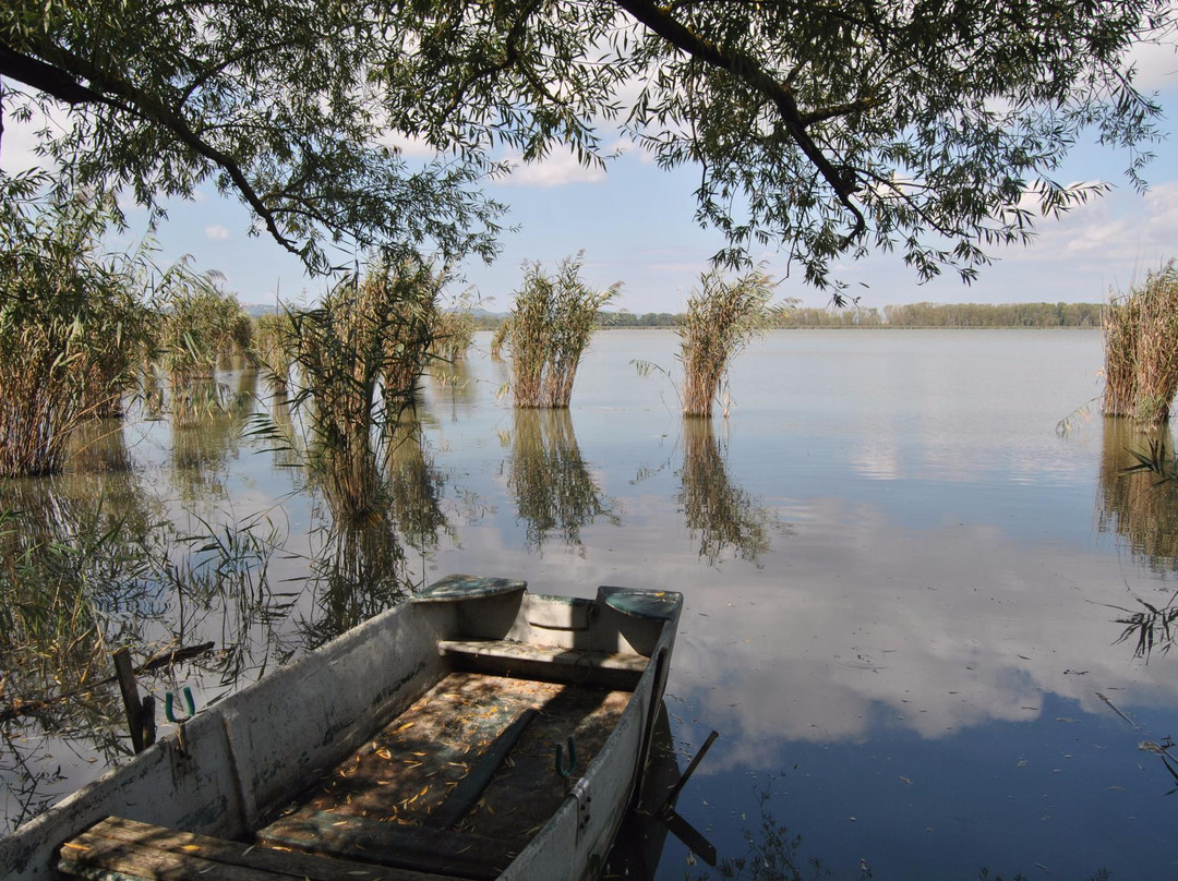 Riserva Naturale Lago di Montepulciano-蒙特普尔恰诺必去景点