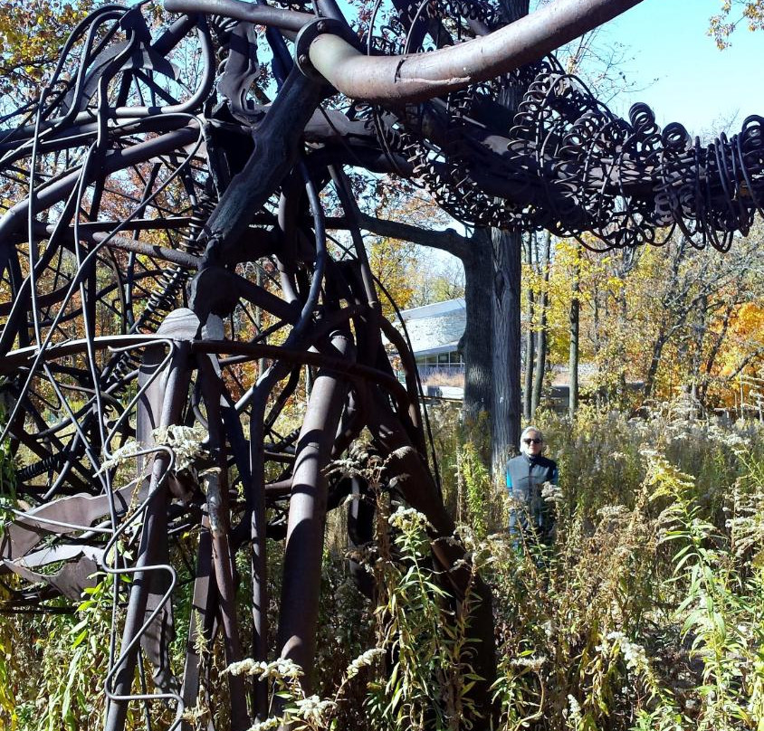 Hidden Lakes Historic Trout Farm-Bolingbrook必去景点