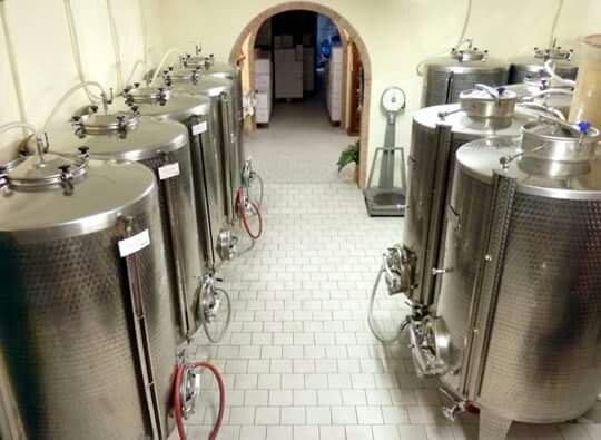 cantina stella景点图片