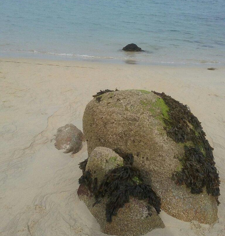 Plage des Sables Blancs景点图片