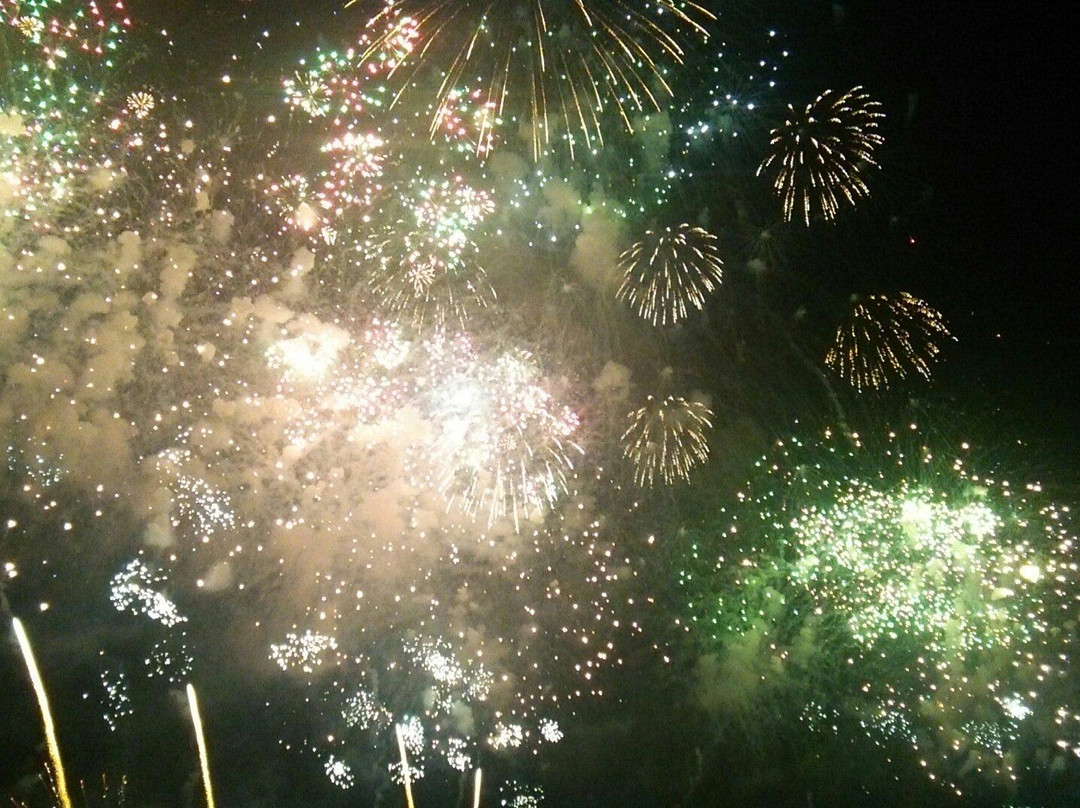 Tsuchiura All Japan Fireworks Competition-土浦市必去景点