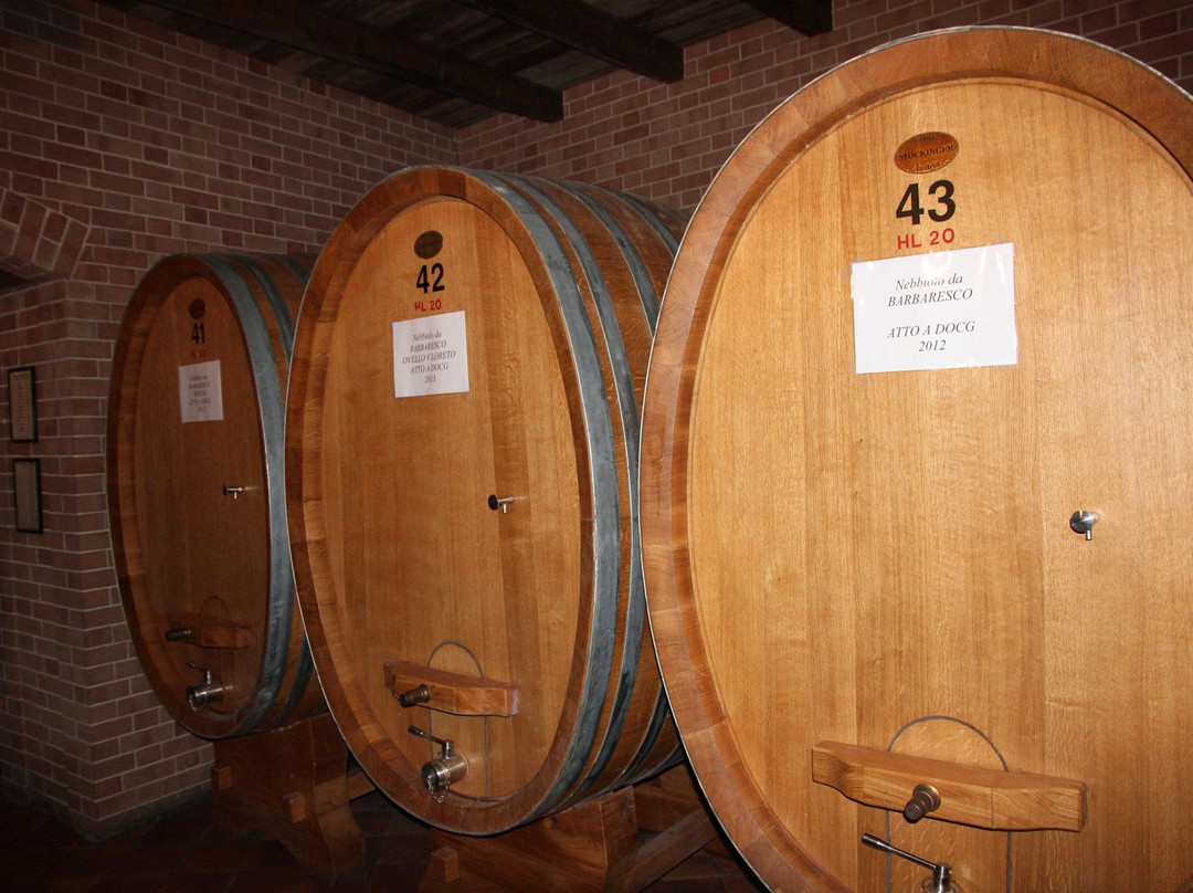 Albino Rocca Winery-巴尔巴雷斯科必去景点