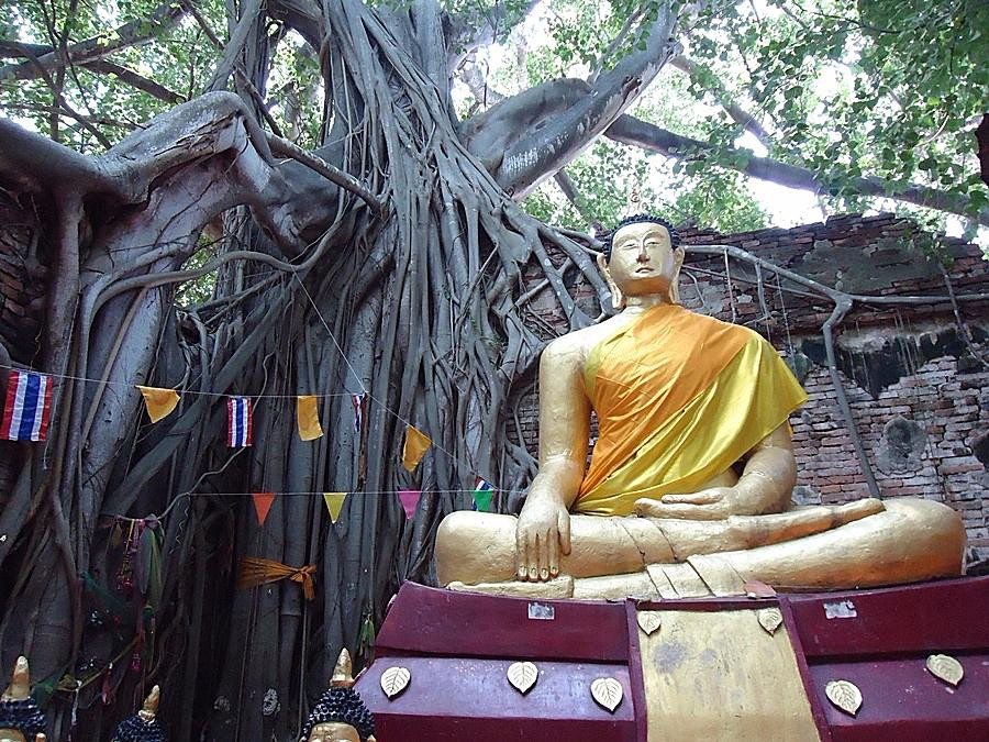 Wat Sai-因武里必去景点