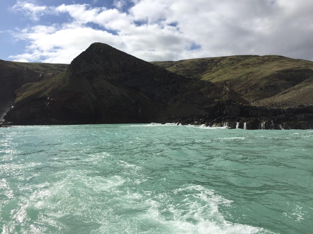 Black Cat Cruises-阿卡罗阿必去景点