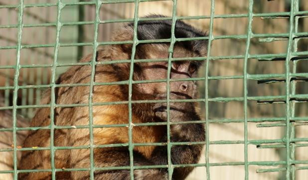 Piet Retief酒店住宿-Emahlathini Guest Farm