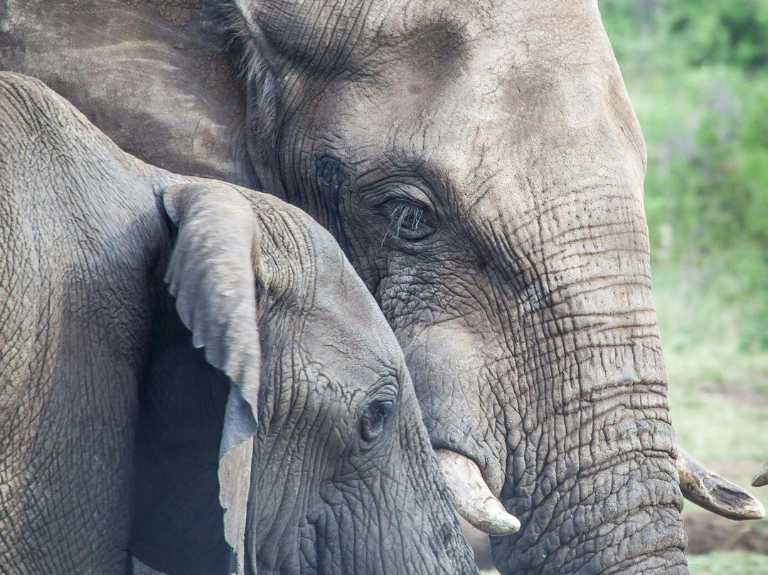 Namibia Reservations-奥奇瓦龙戈必去景点
