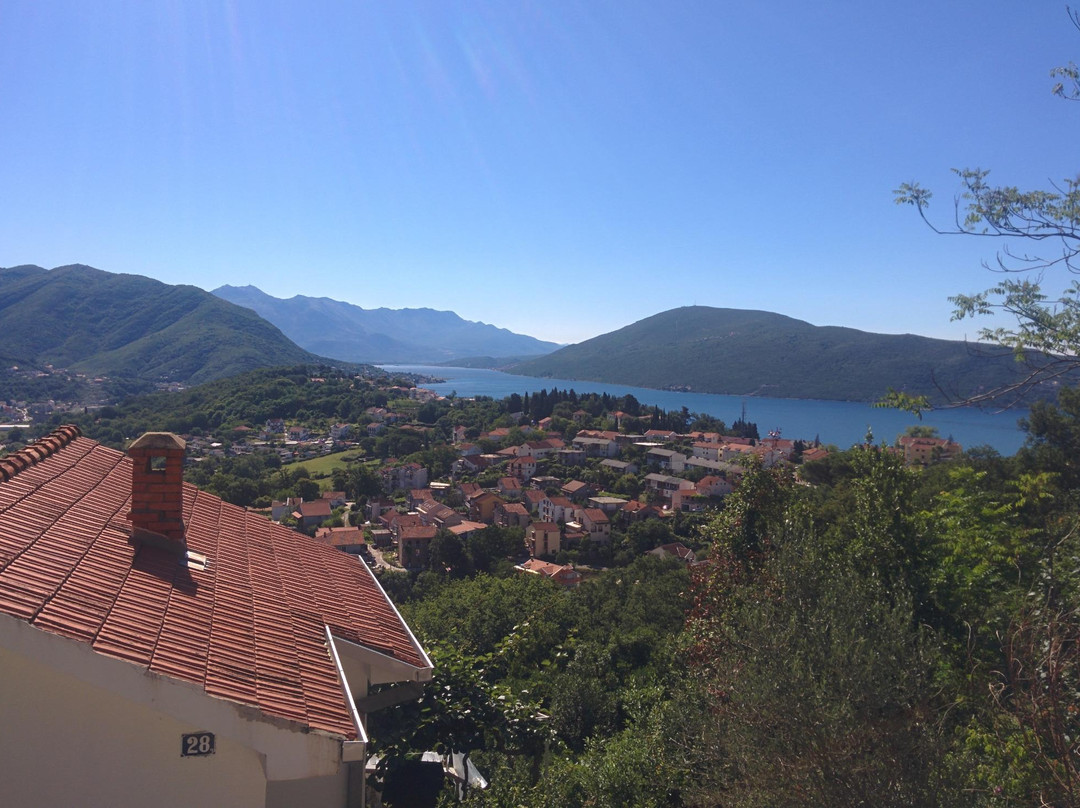 Savinska Dubrava Park景点图片