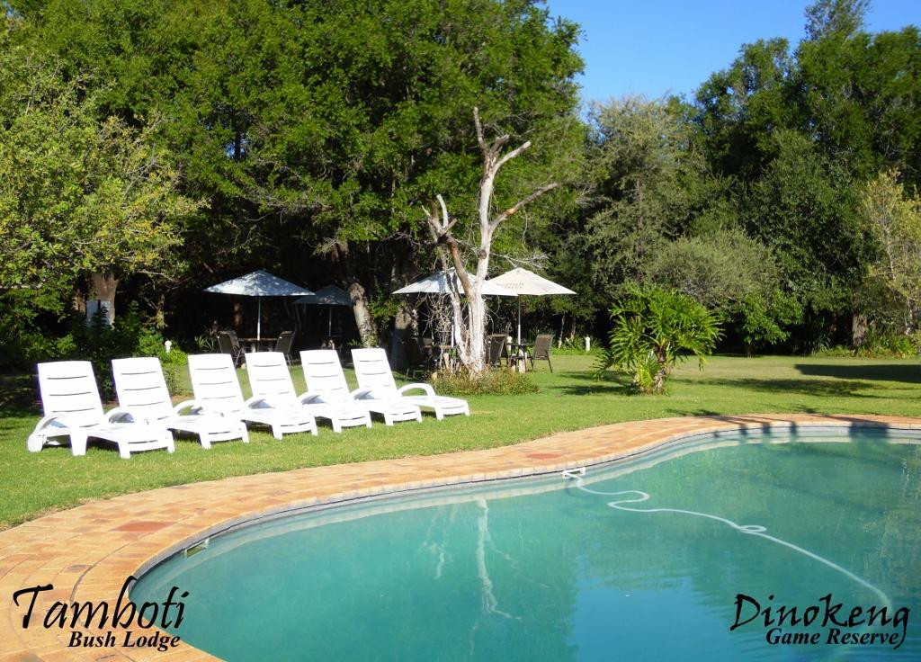 Tamboti Bush Lodge