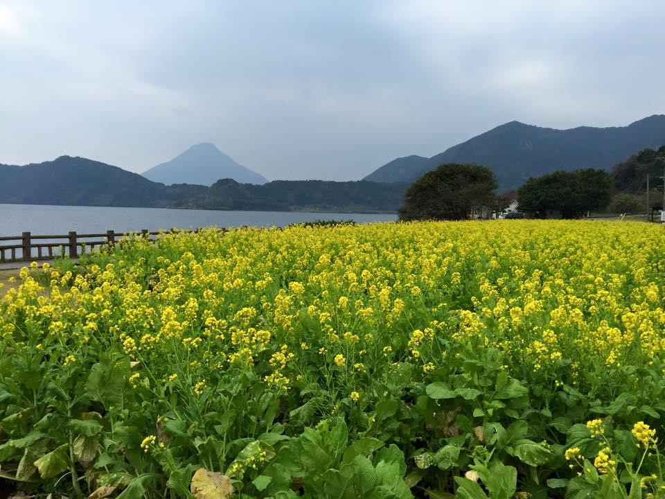Lake Ikeda-指宿市必去景点