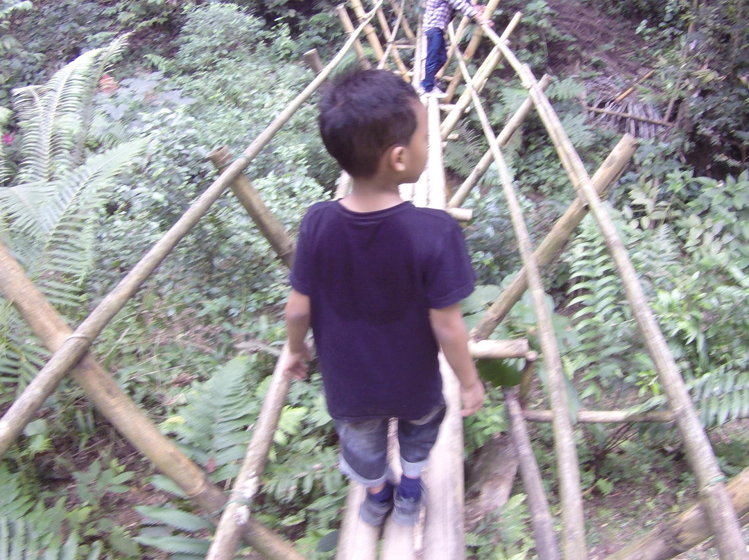 Gita Persada Butterfly Park-班达楠榜必去景点