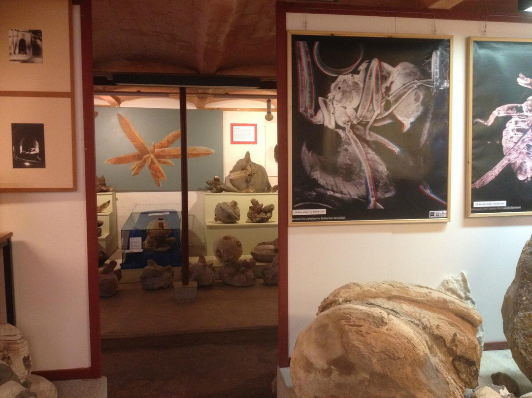 Moler Museum景点图片