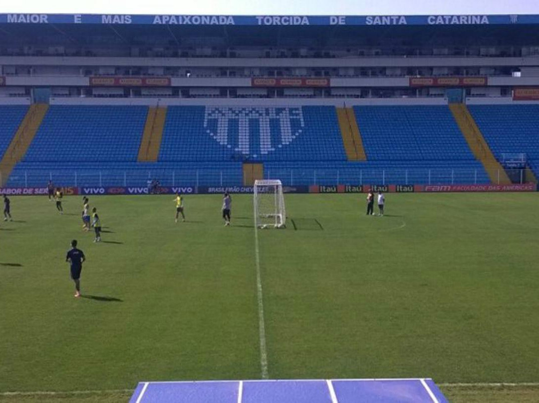 Estádio Aderbal Ramos da Silva - Ressacada景点图片