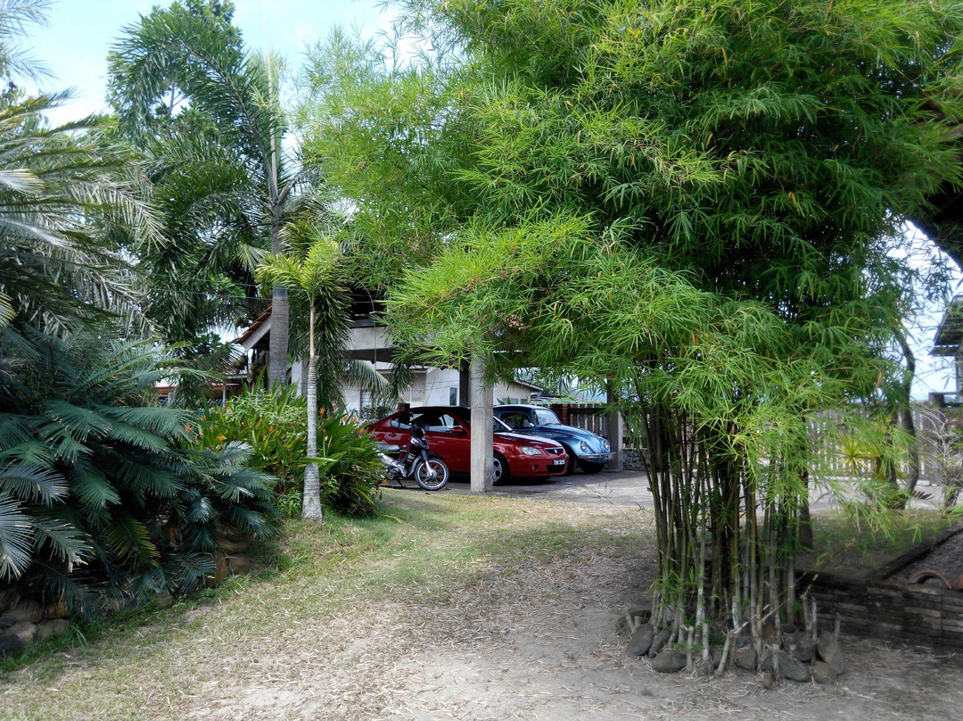 Edani's Cottage主图