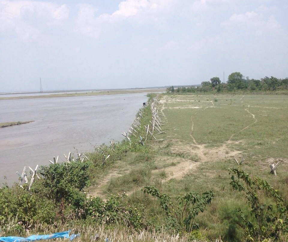 Koshi Tappu Wildlife Reserve-东部地区必去景点