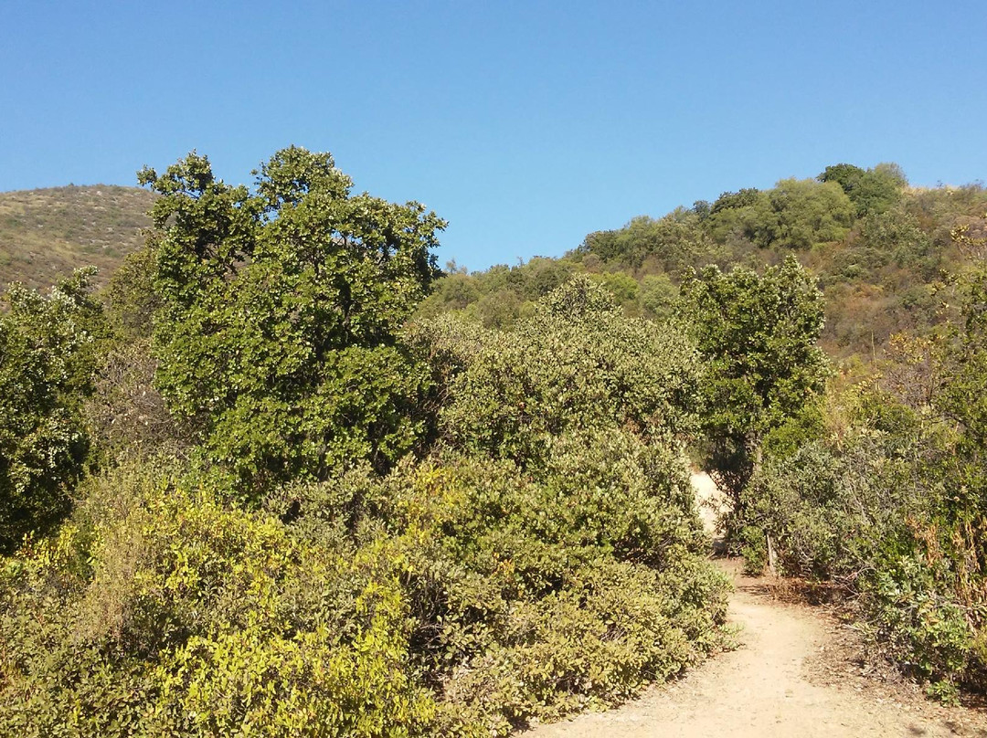 Reserva Natural Altos de Cantillana景点图片