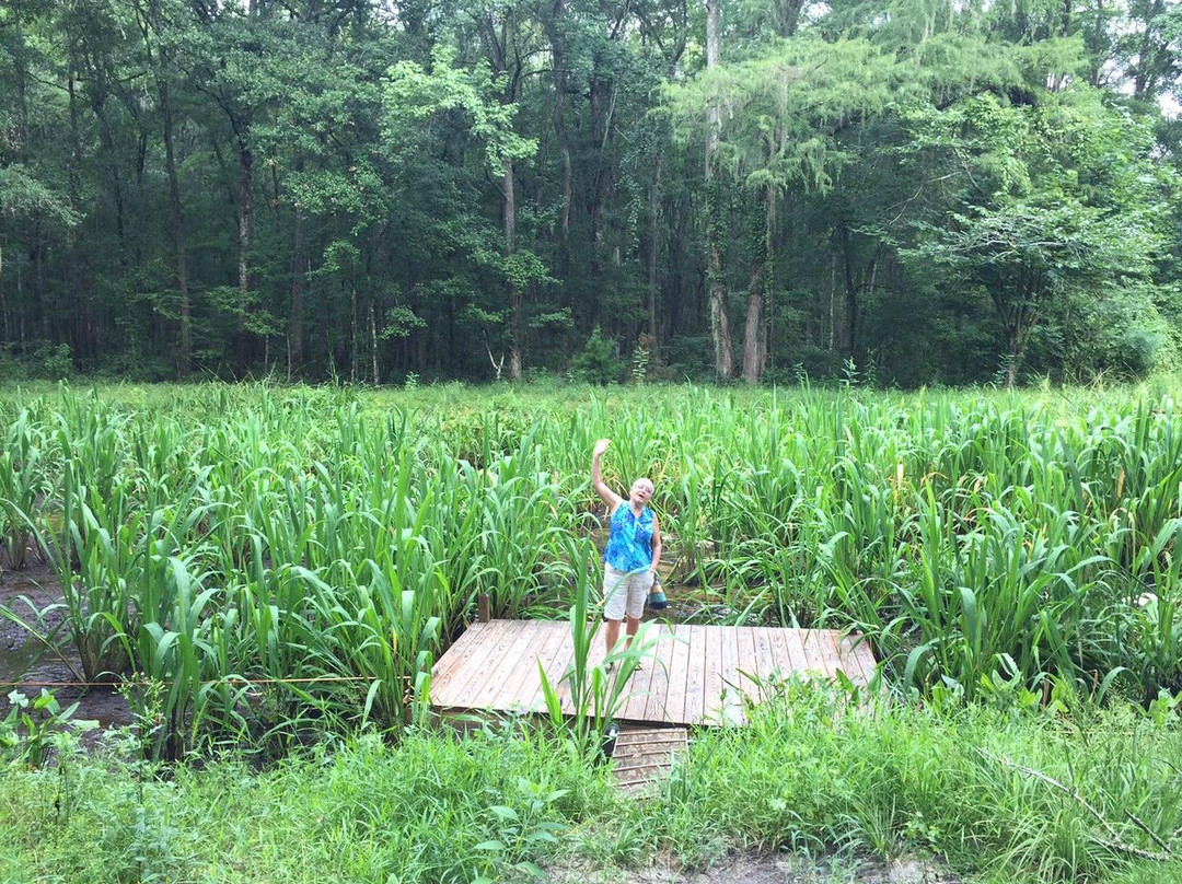 Savannah-Ogeechee Canal Museum and Nature Center-萨凡纳必去景点