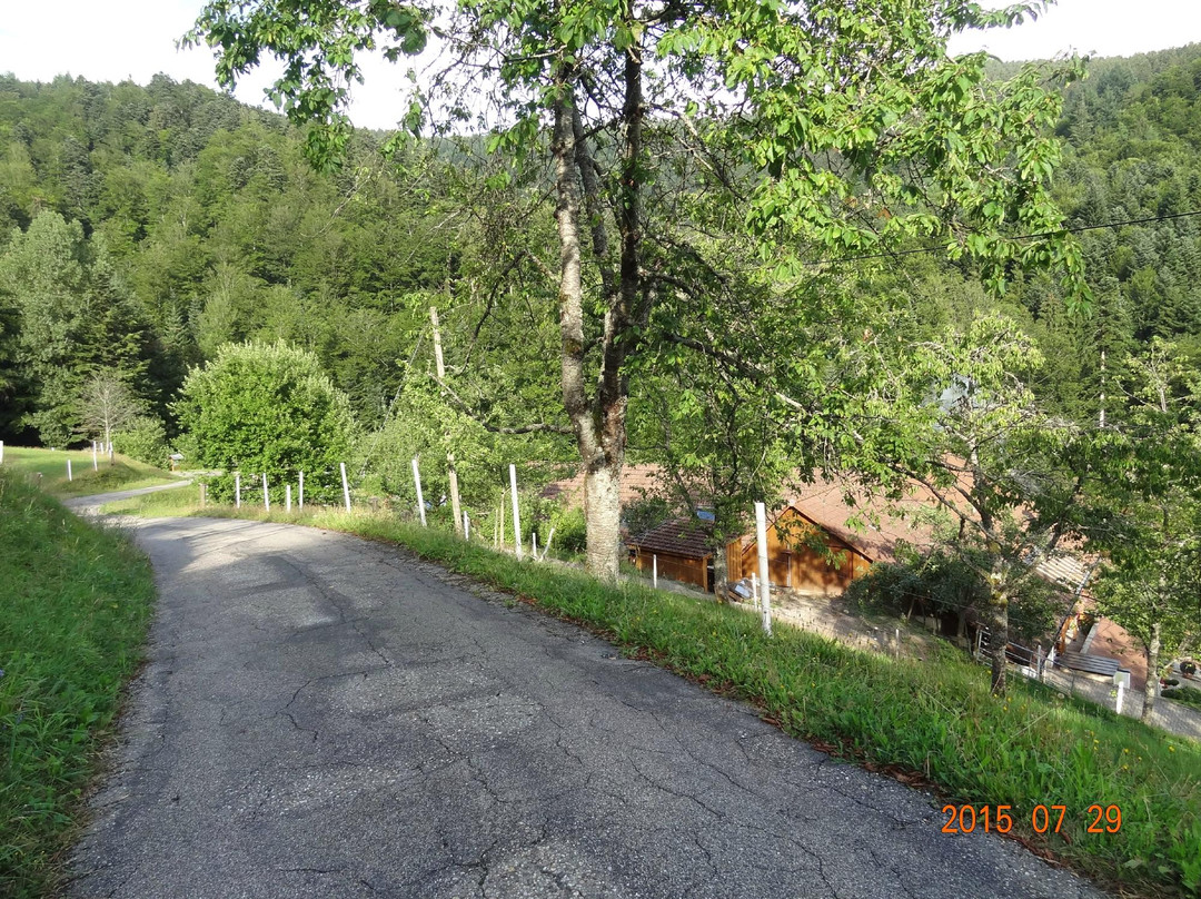 Paradies im Schwarzwald