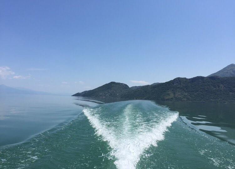 Kormoran Cruising景点图片