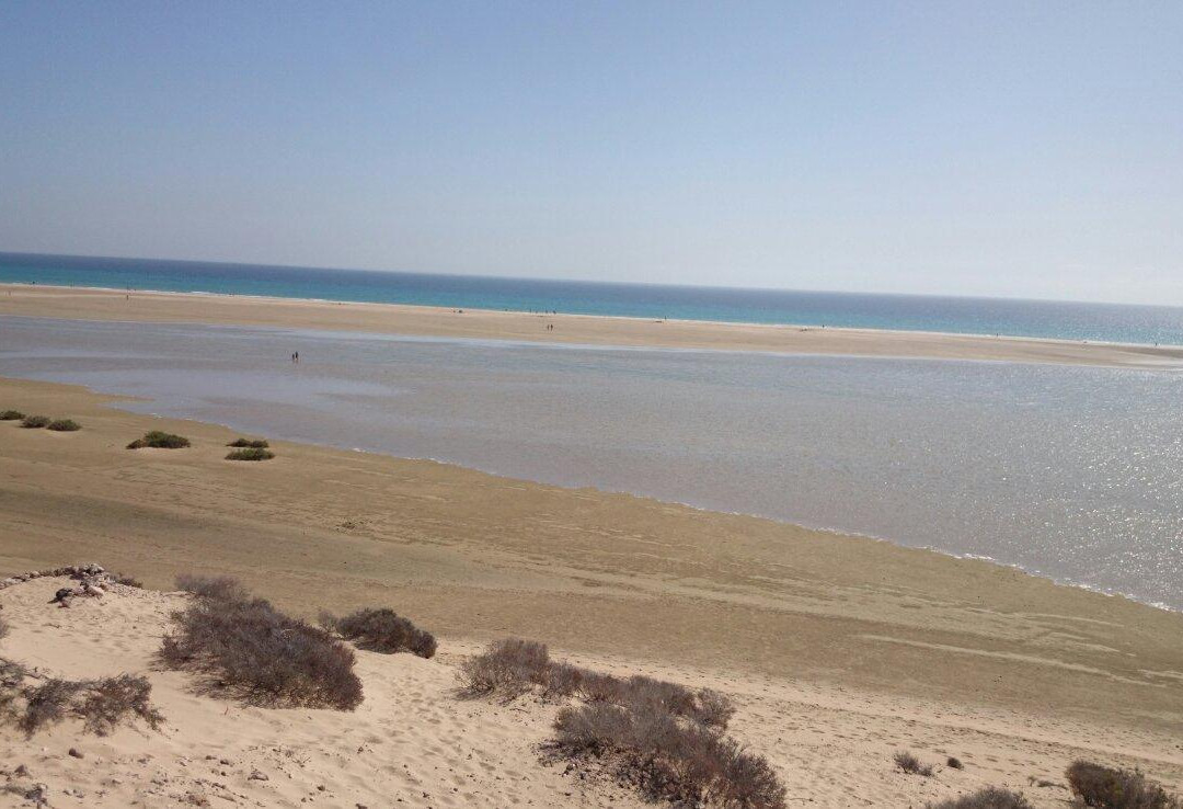 Playa de Sotavento景点图片