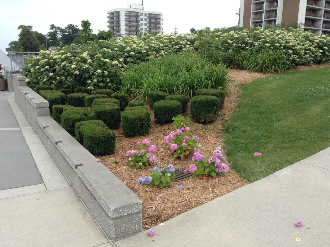 Bert Weeks Memorial Gardens-温莎堡必去景点