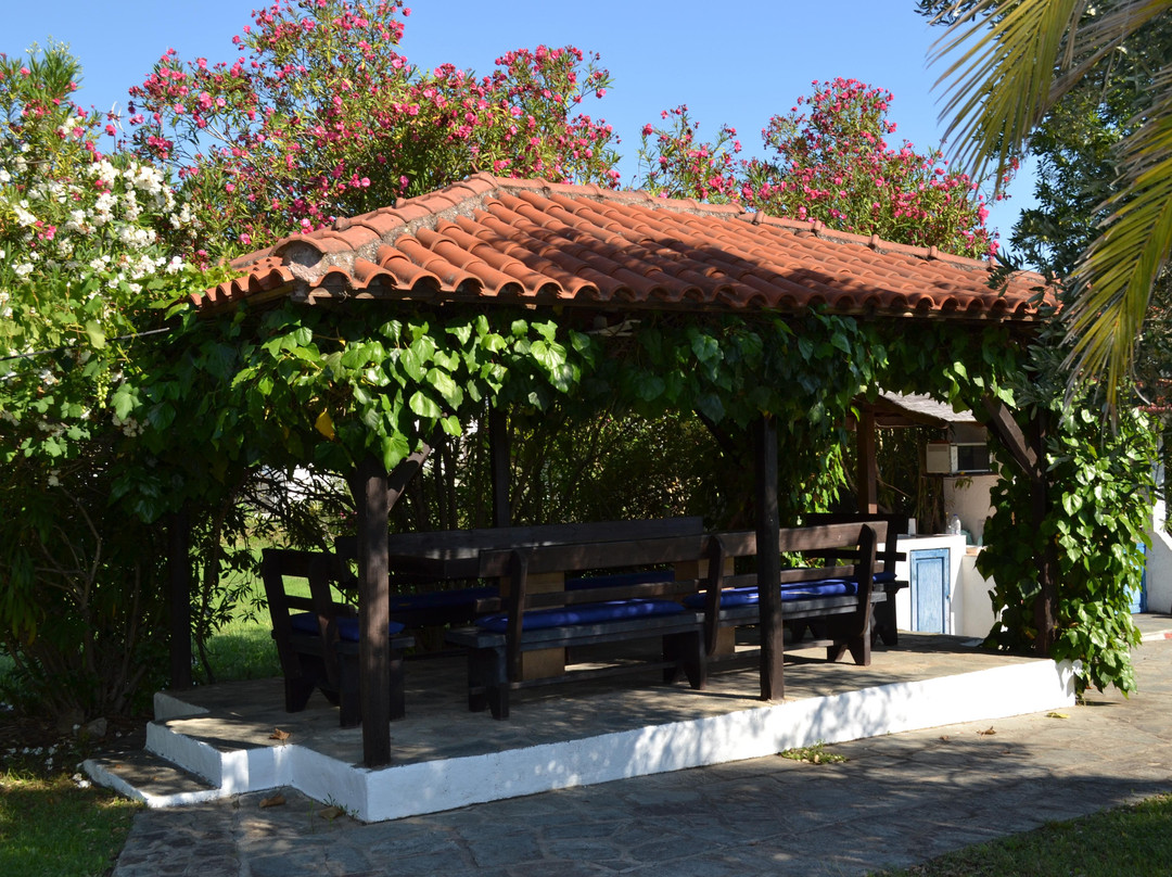 Villa Iris Studios