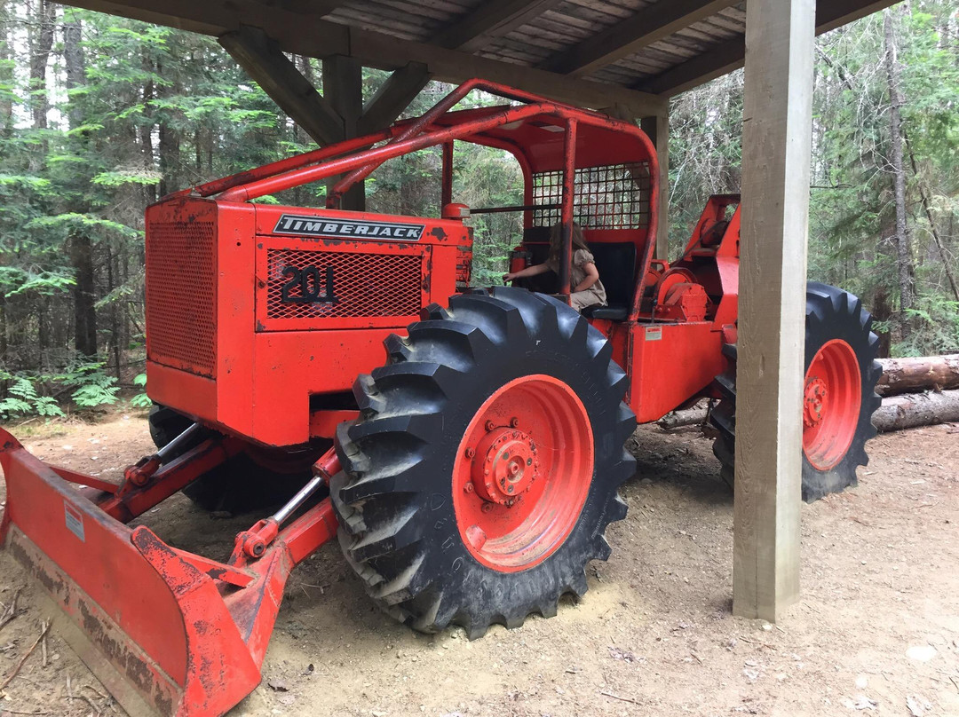 Algonquin Logging Museum Trail景点图片