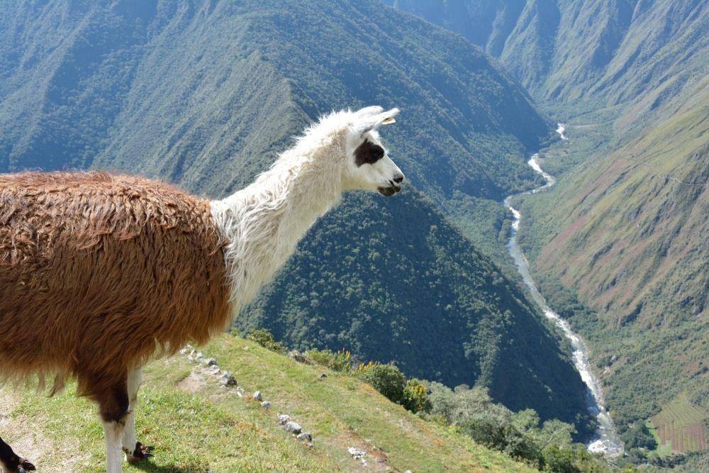 Inca Trail-库斯科必去景点