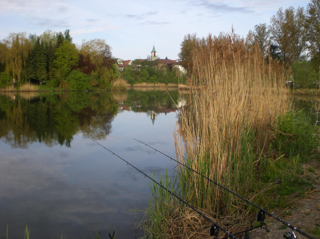 Oedheim旅游攻略图片
