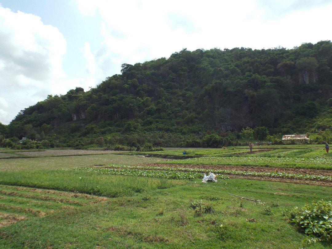 Phnom Chhngok Cave Temple-贡布必去景点