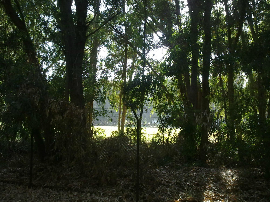 Royal Golf-摩洛哥-马扎甘葡萄牙城必去景点