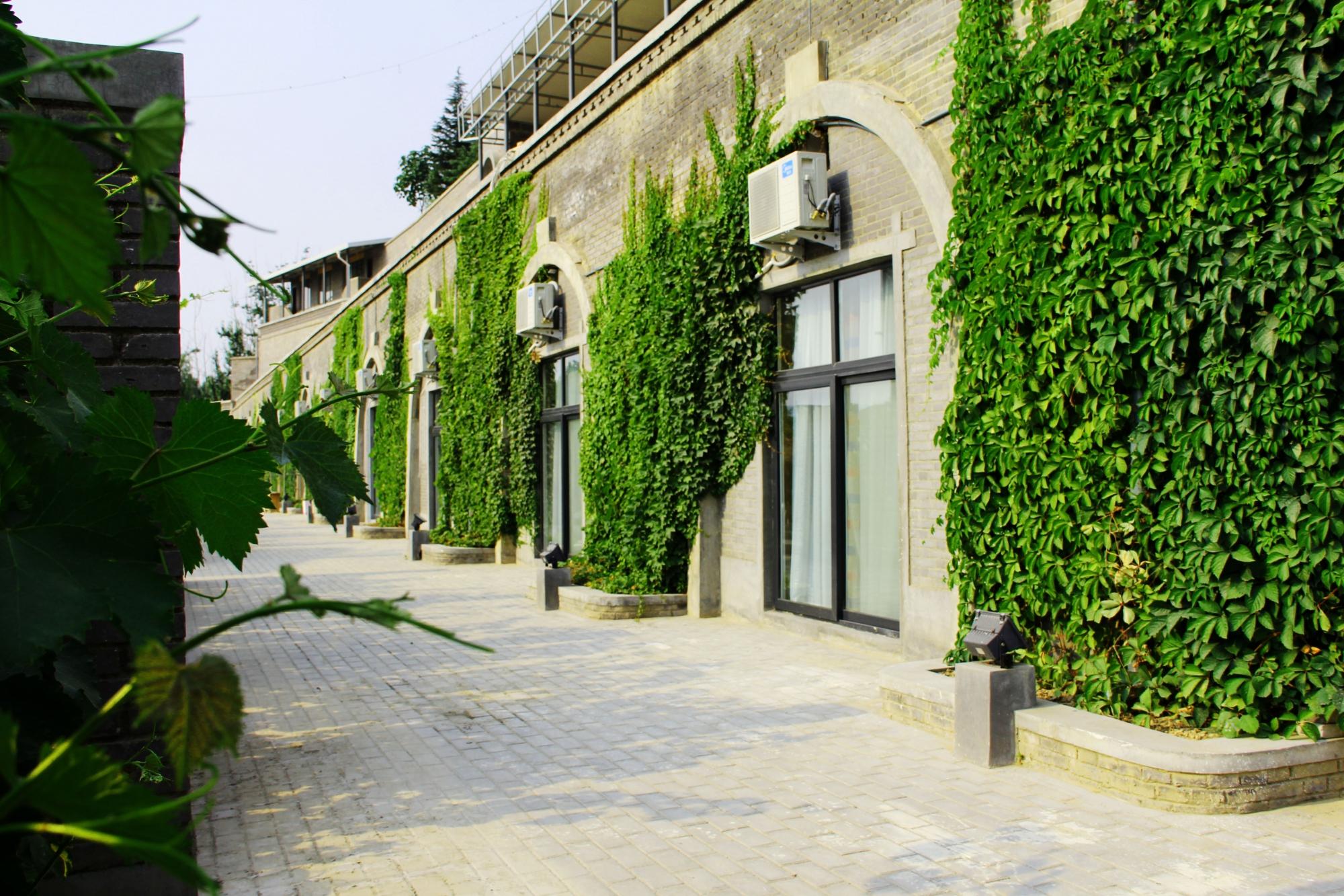 河之南文化酒店-酒店景观