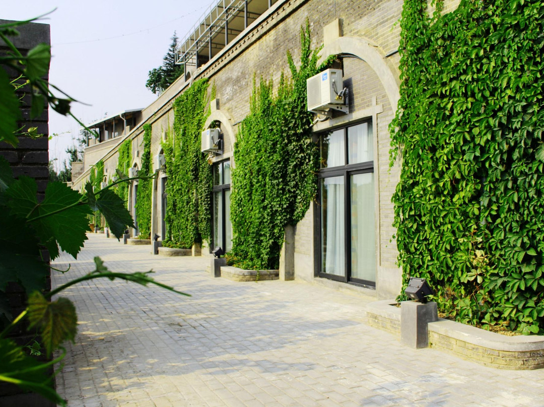 河之南文化酒店主图