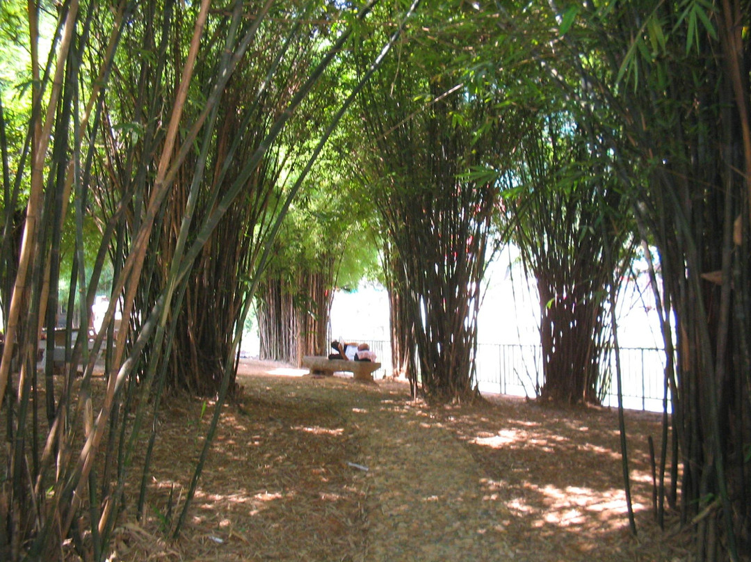 漳州九龙公园-漳州市必去景点