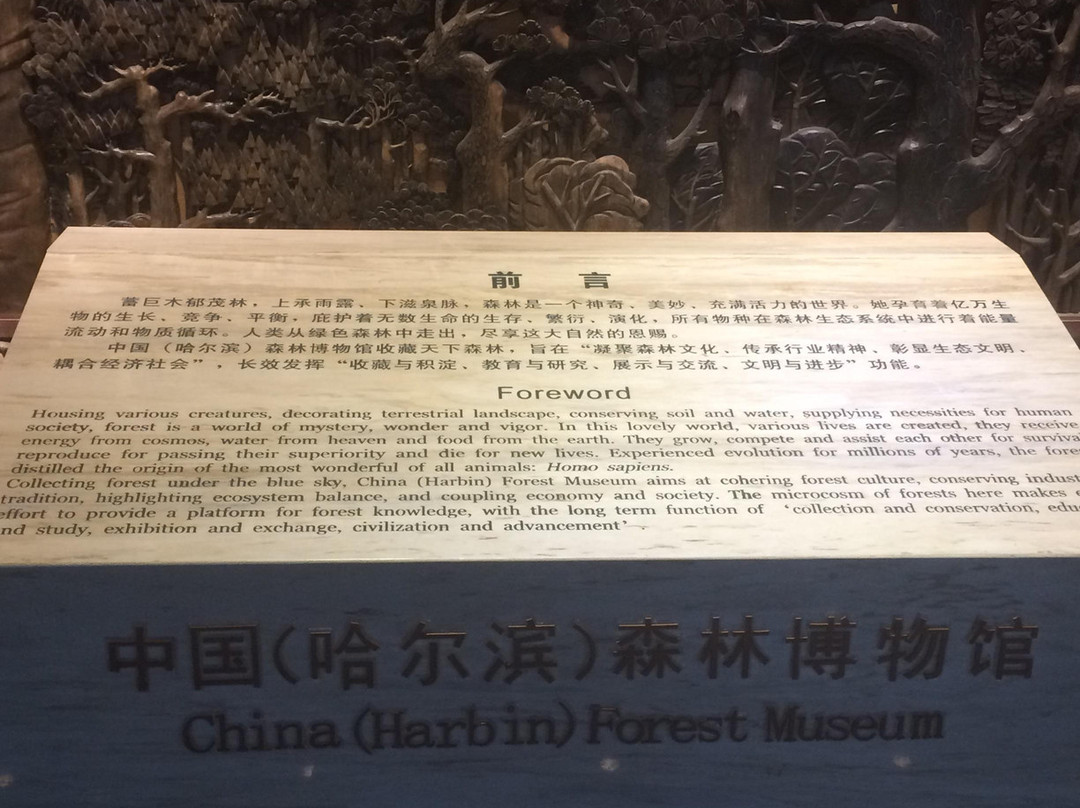 哈尔滨森林博物馆-哈尔滨市必去景点