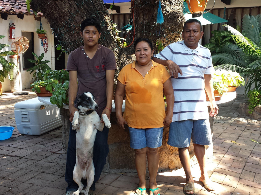 Hotel Mision & Spa Acapulco主图