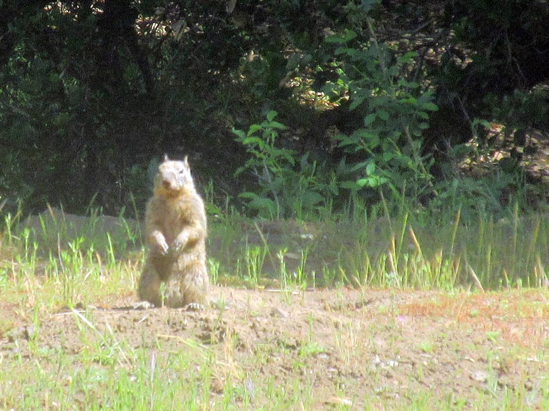 Castle Rock Regional Recreation Area-核桃溪必去景点