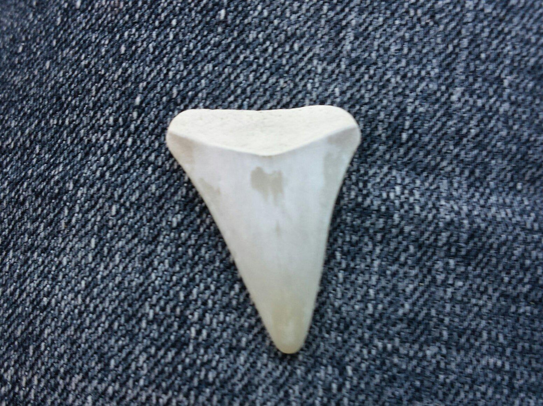 Doran Beach景点图片