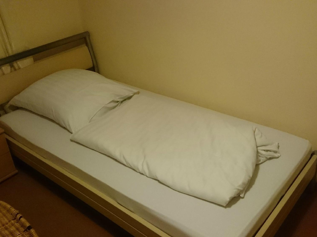 兰茨胡特酒店住宿-Hotel Cristallo