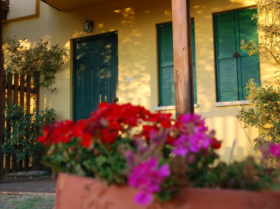 Honny's Circle主图