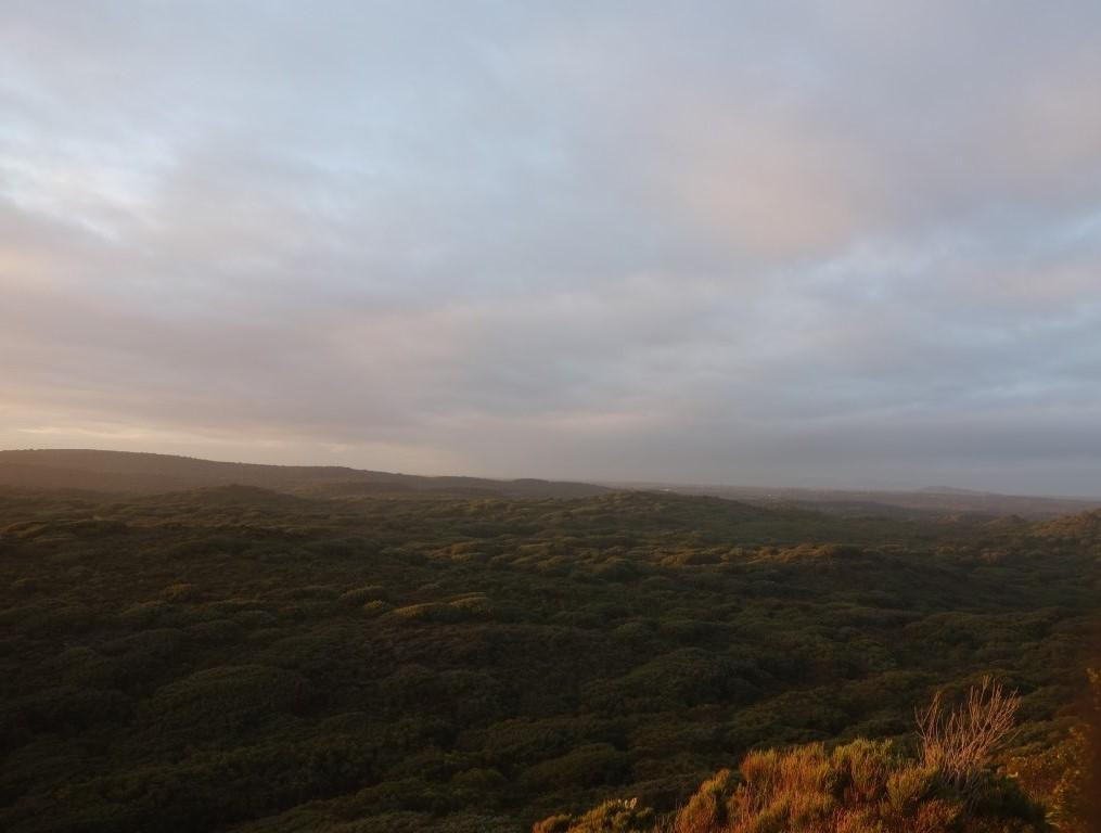 Albany Wind Farm-奥尔巴尼必去景点