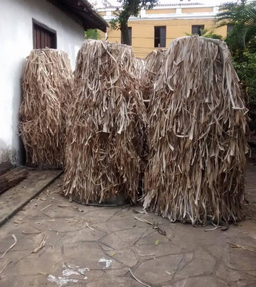 Parque Cultural Vila de Sao Vicente-Sao Vicente必去景点